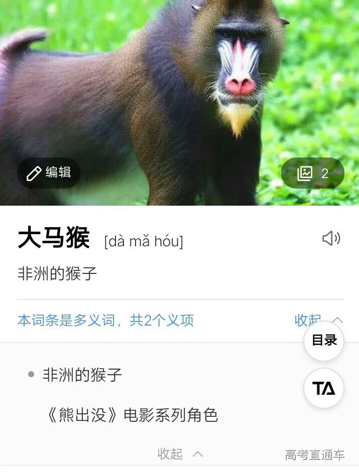 让小胡来给大家科普一下"大马猴"