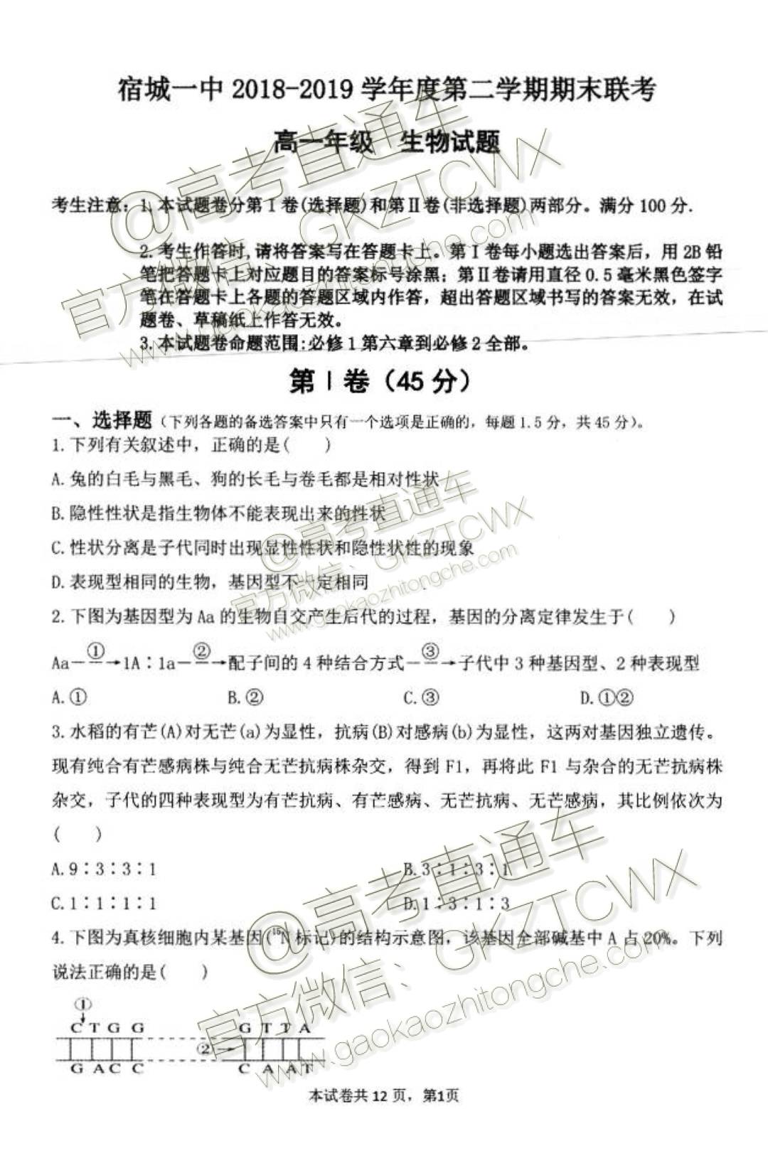 19安徽省宿州市宿城第一中学高一下期末考试 理科 生物试题及参考答案 高考直通车 19安徽省宿州市宿城第一中学高一下期末考试 理科 生物试题及参考答案 高考直通车