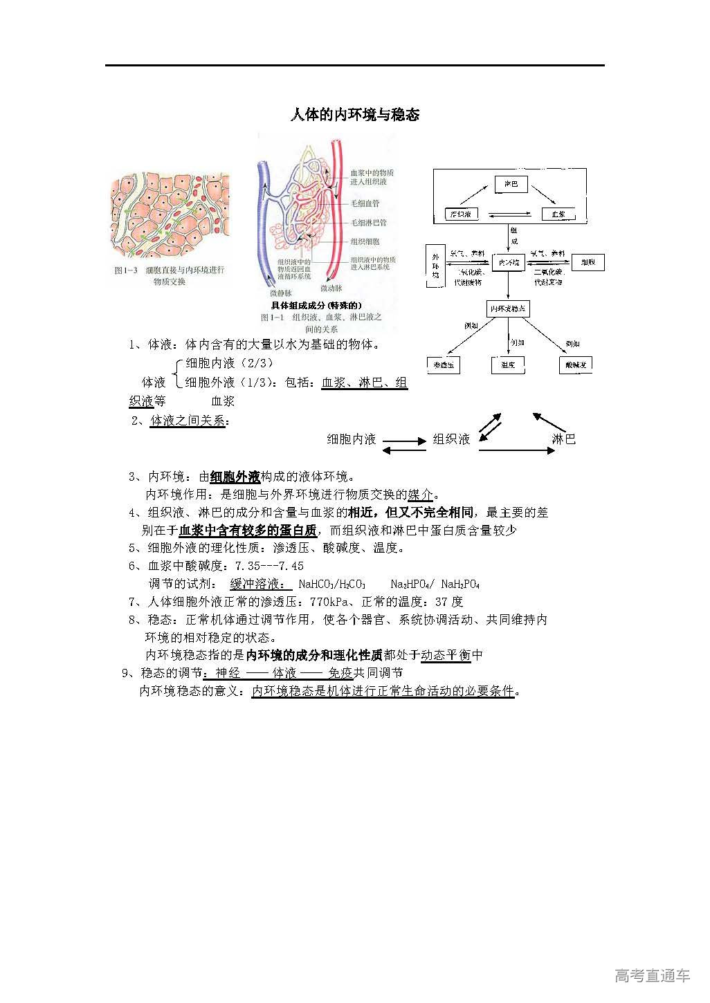1565333353261732.jpg 人体的内环境与稳态.jpg
