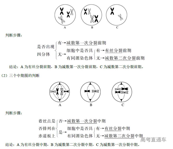 1574148132982816.png image.png