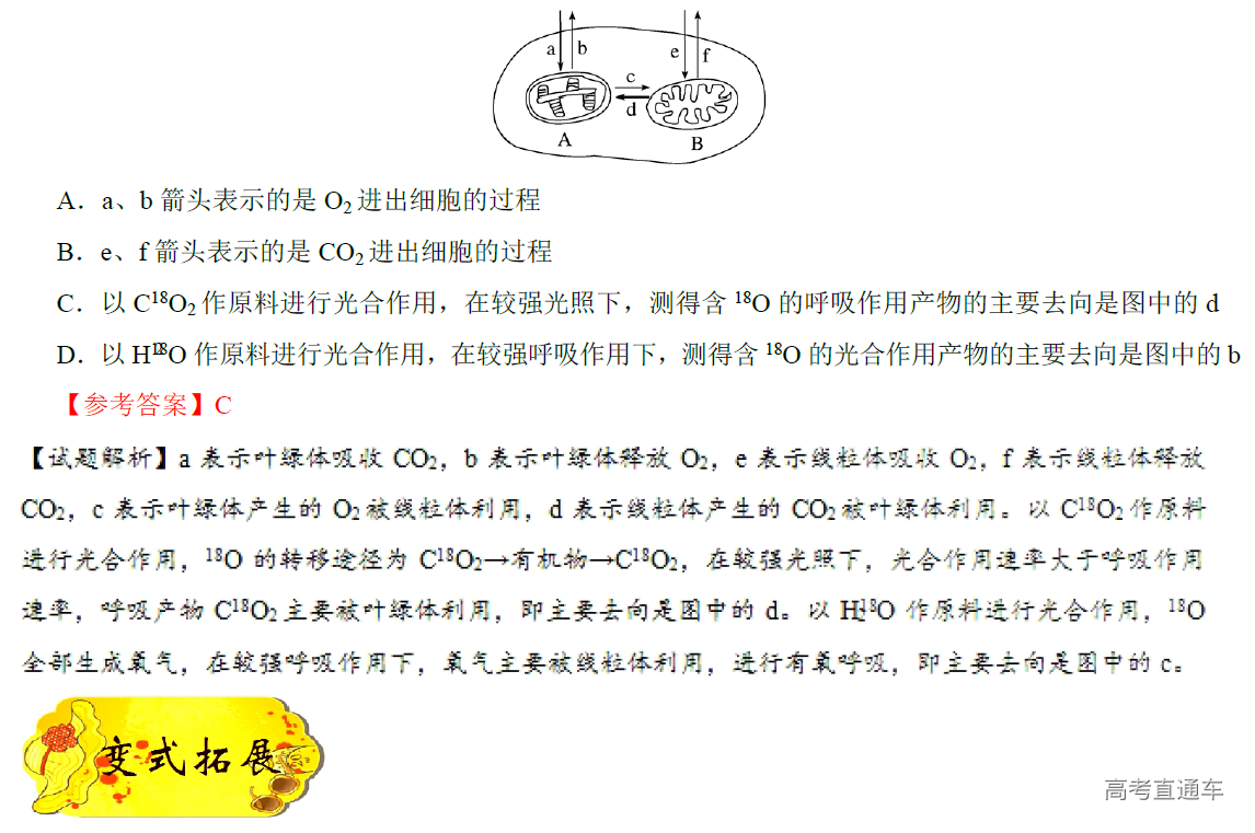 1577082452738411.png image.png