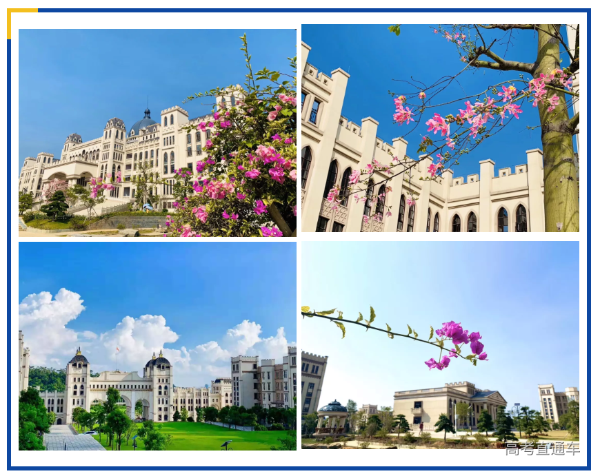 1577412915112644.png 1577412114(1).png