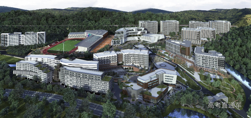 imagefile 20200519204446785.png