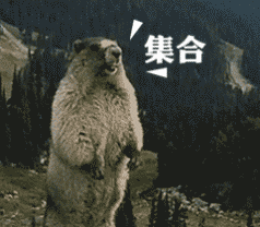 1590051111978849.gif 640.gif