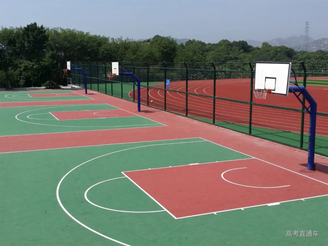 篮球场公众号.jpg