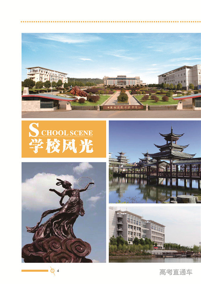 1588661224306035910.jpg 07.jpg