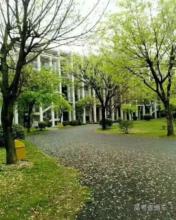 7.webp.jpg 7.webp.jpg