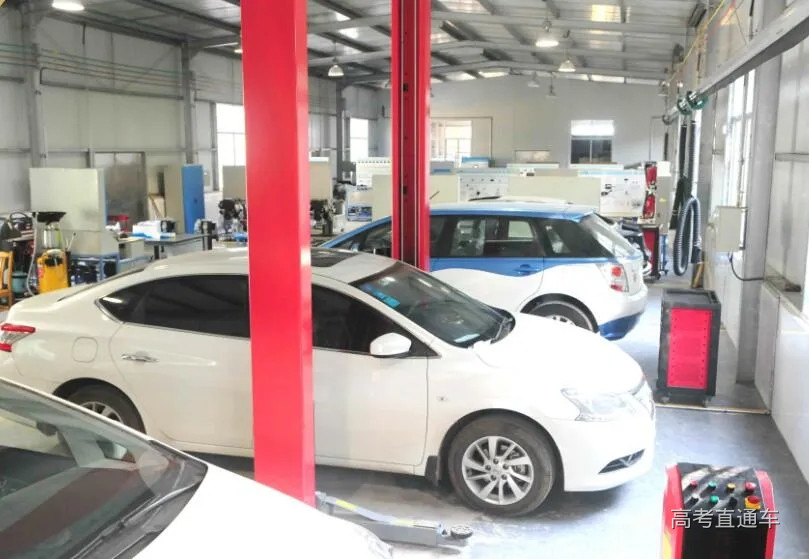 13.webp.jpg 13.webp.jpg