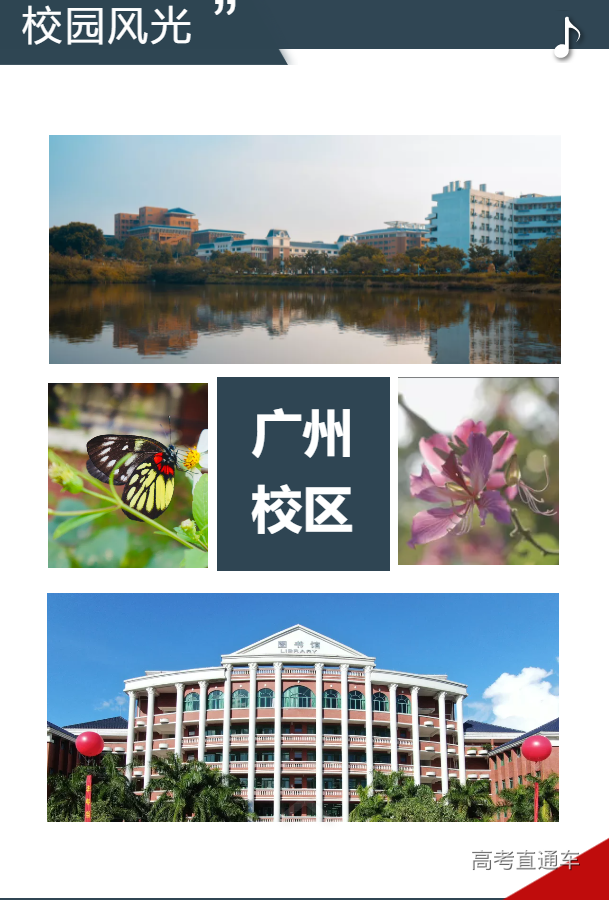 1607339506831757.png image.png