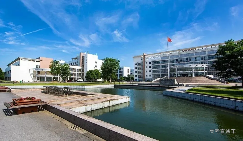 640.webp (2).jpg 图片