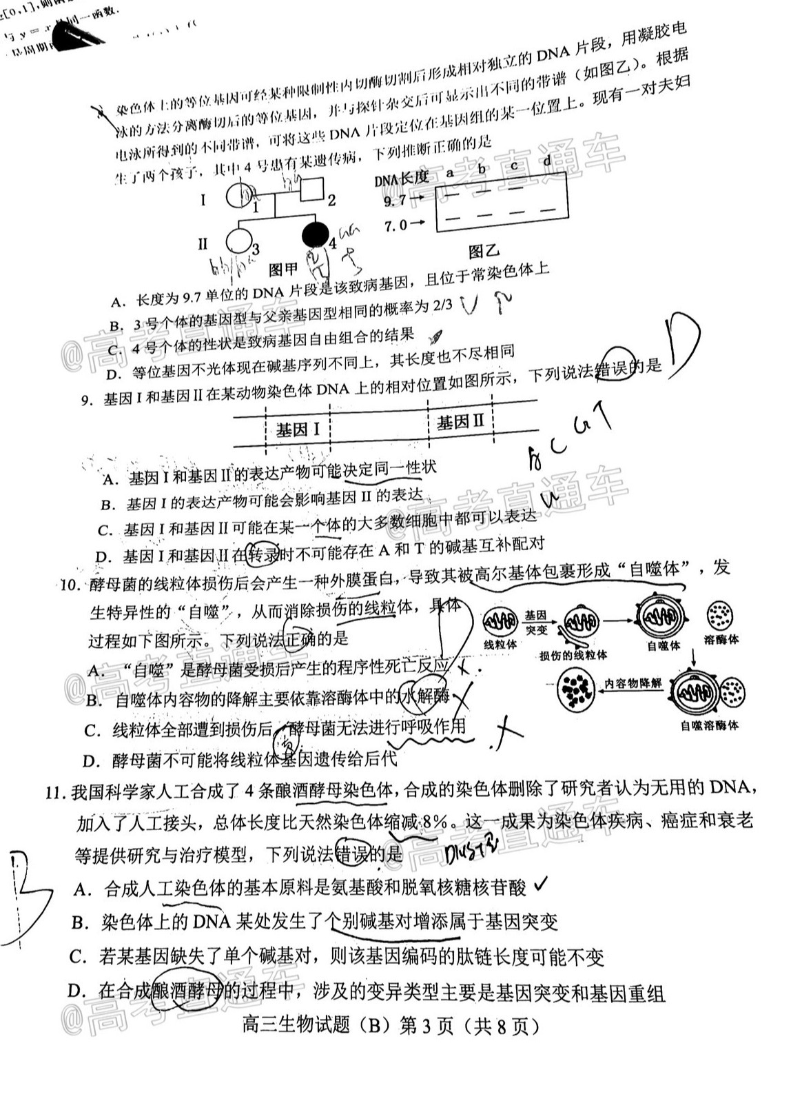 2021菏泽高三期末考试生物试题及参考答案-高考直通车