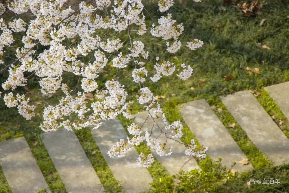 640.webp (5).jpg 图片