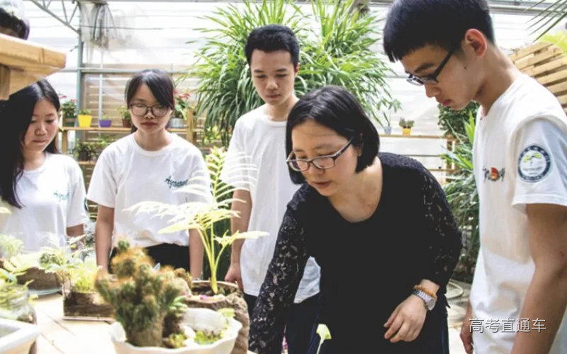 园艺技术2.jpg 图片