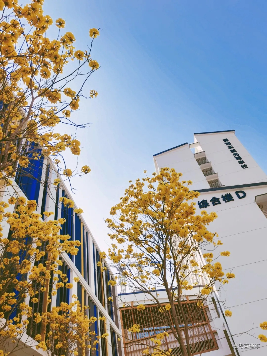 微信图片_20210221180213.jpg 图片