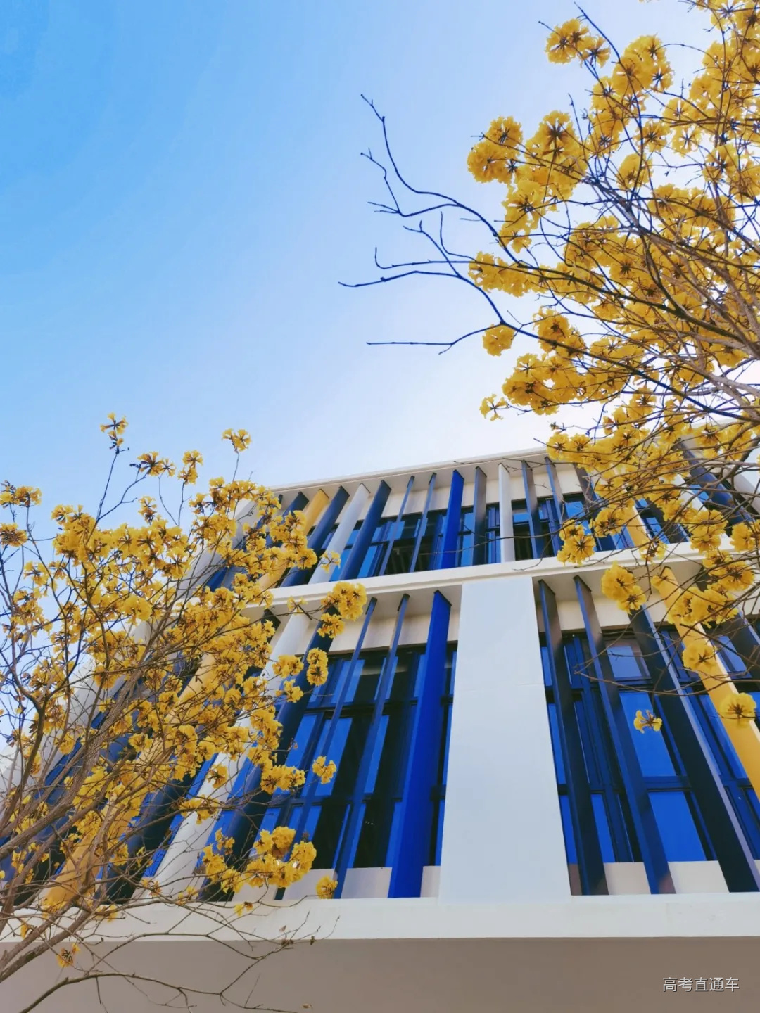 微信图片_20210221180220.jpg 图片