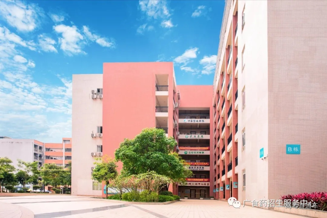 微信图片_20191127222801.jpg 图片