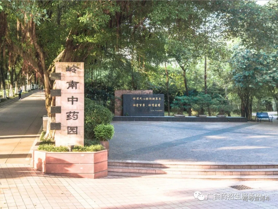 微信图片_20191127222754.jpg 图片