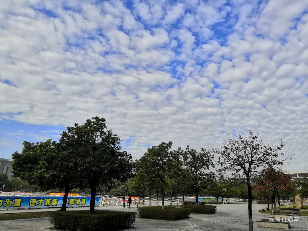 微信图片_20210423203921.jpg 图片