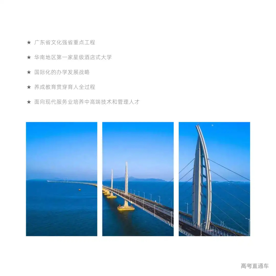 45.jpg 图片