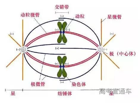 高中物理化学生物三科关键知识点及答题技巧汇总