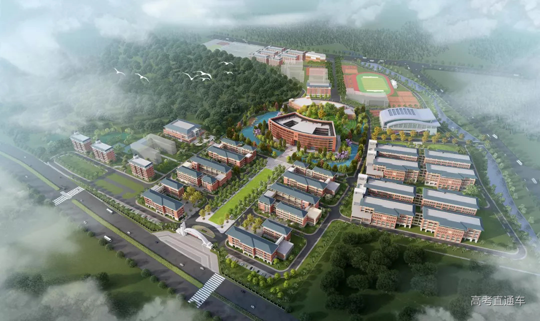 1623901512715013.webp 19.webp