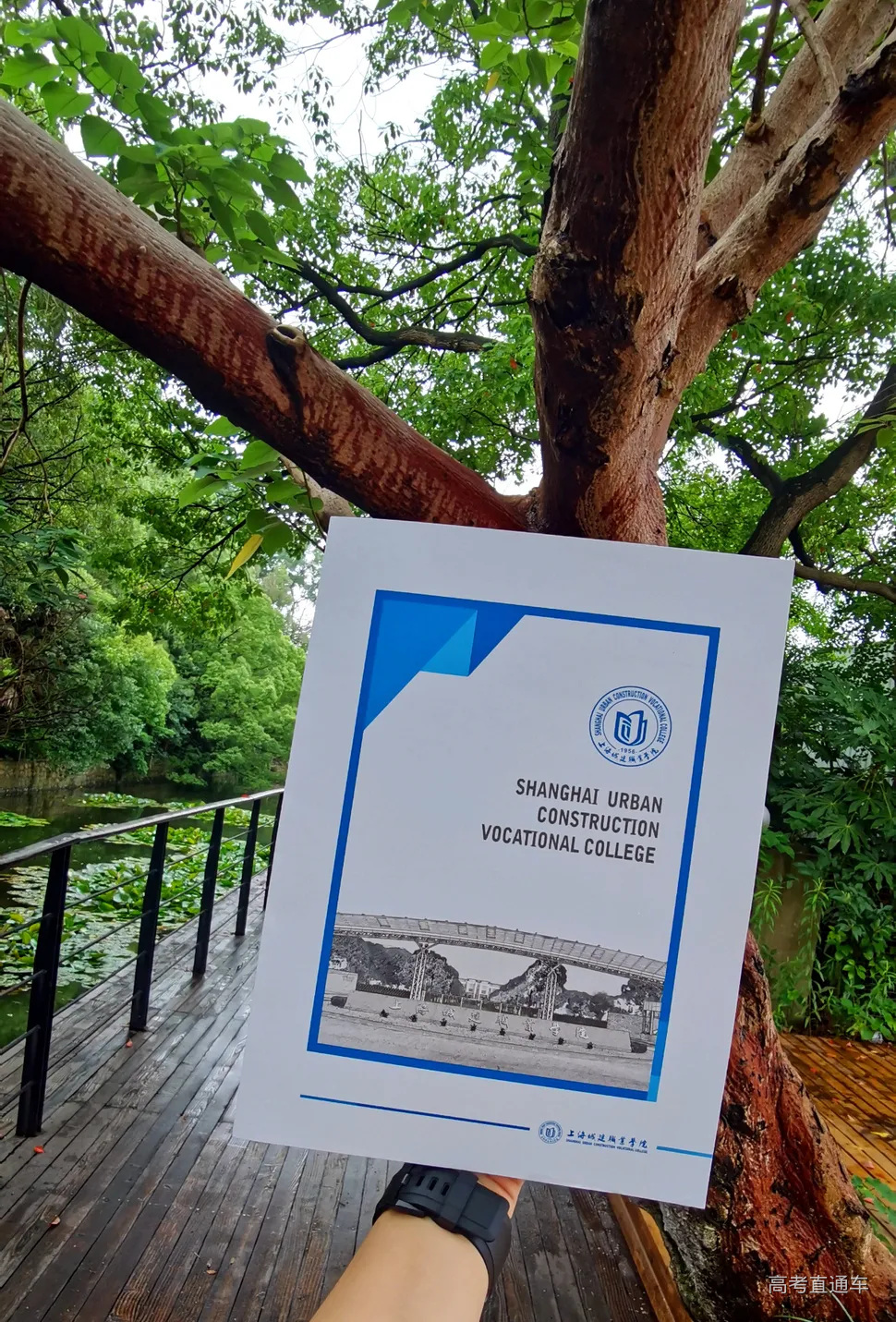 素材1 通知书 封面.jpg 图片