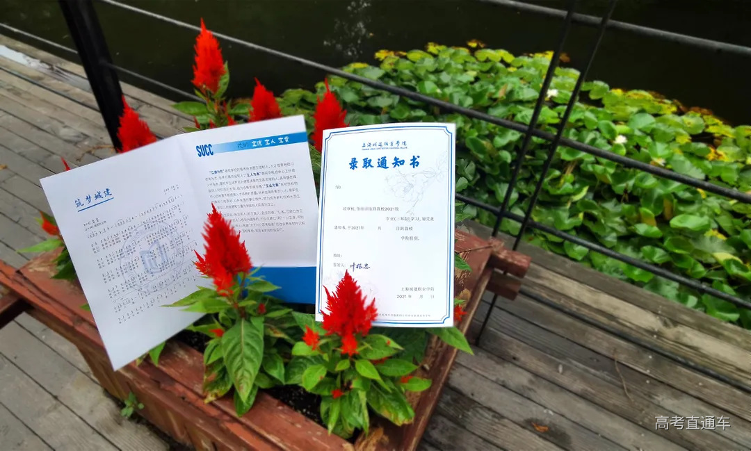 素材2 整体展示.jpg 图片