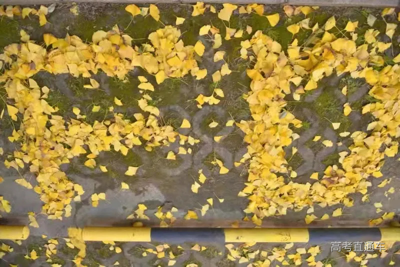 微信图片_20210812122645.jpg 图片