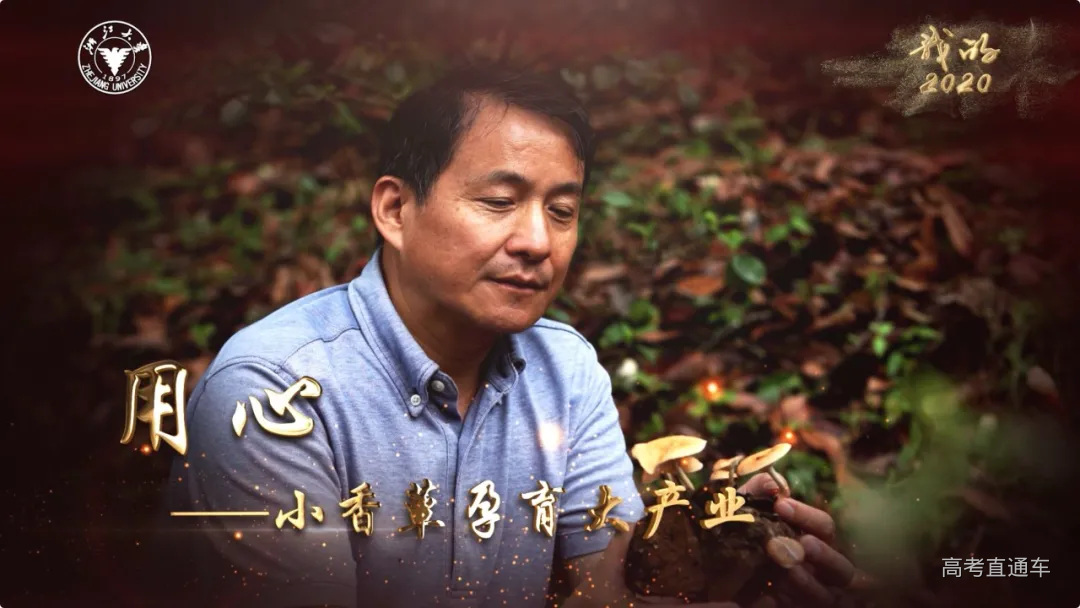 Wondershare Filmora9 2020_10_16 19_41_12.png 图片