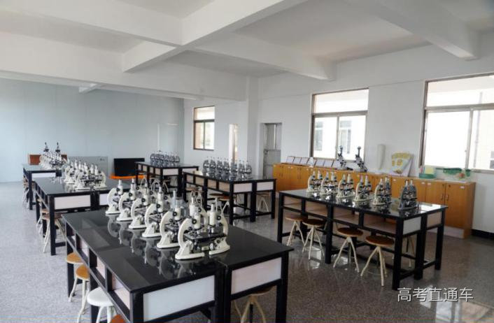 中药制药.jpg 图片