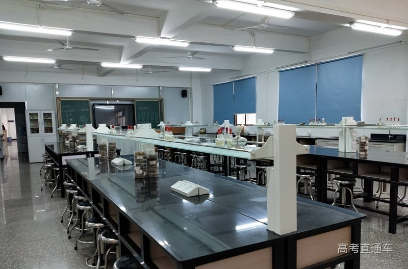 食品质量与安全.jpg 图片