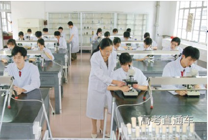 图片 28.png 图片