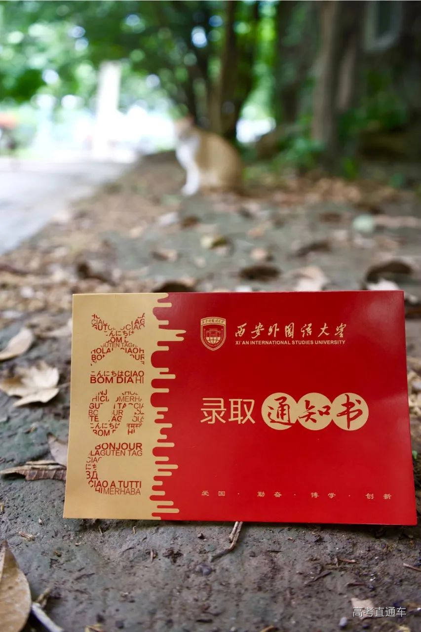 DSC01137 Large.jpg 图片