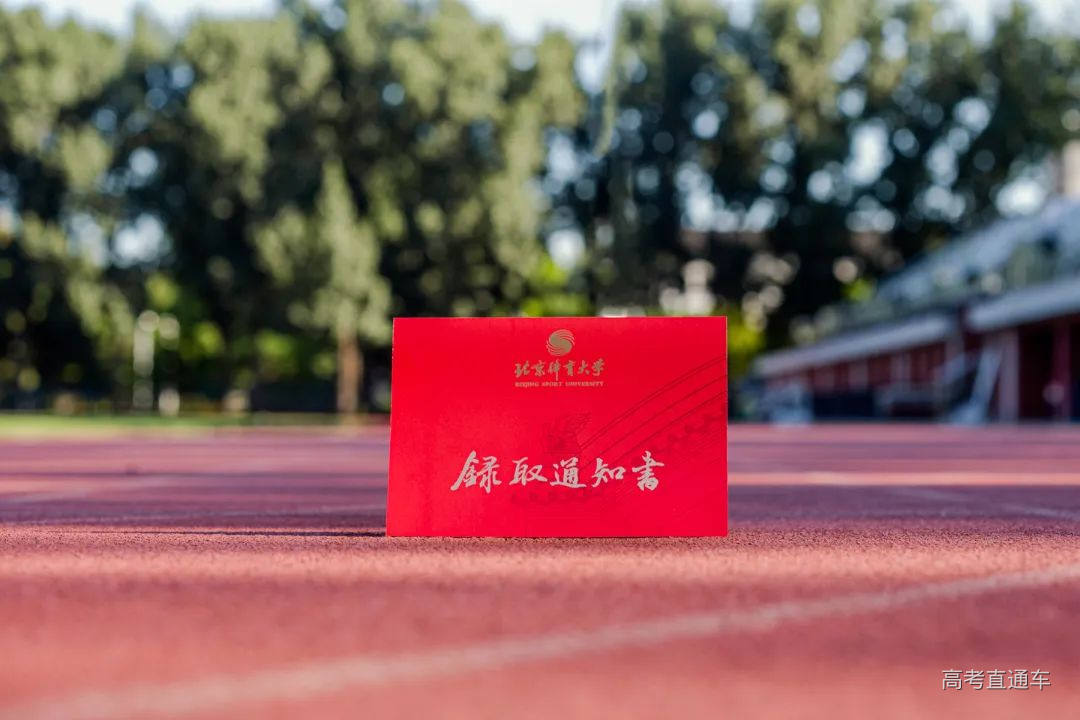 _E8P9562-编辑-1.jpg 图片