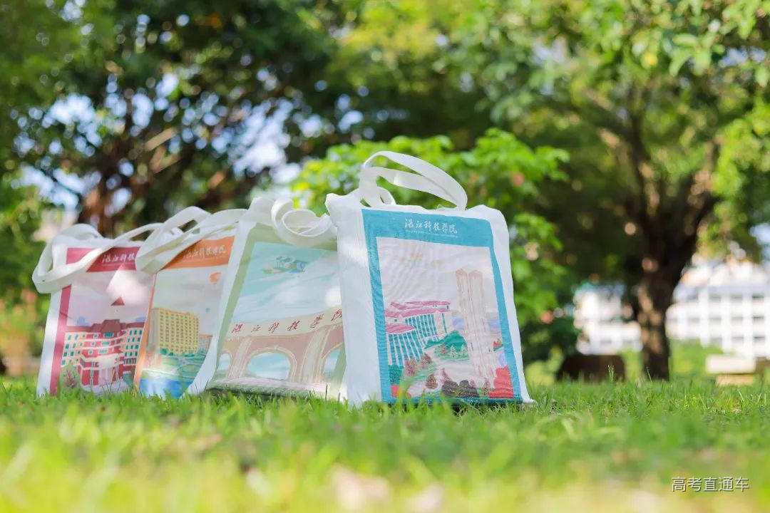 帆布袋1.jpg 图片