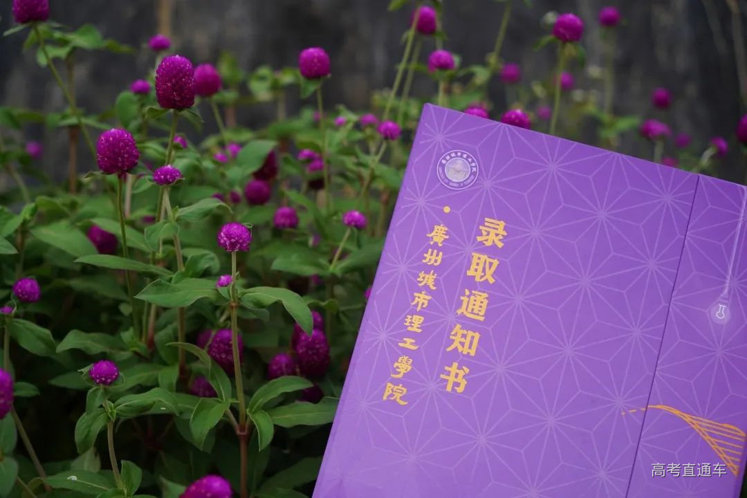 1659357662911304.png image.png