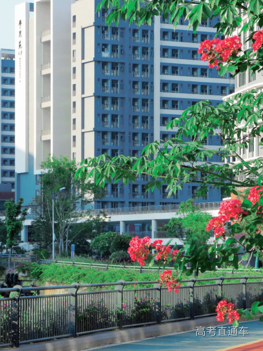 retouch_2022071218382609.jpg 图片