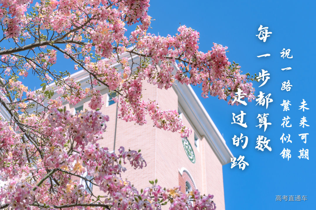 17点出分!中山大学2023年考研初试成绩公布-高考直通车