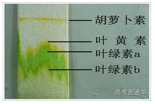 1677724982194033.png image.png