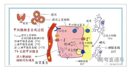 1677724999792317.png image.png