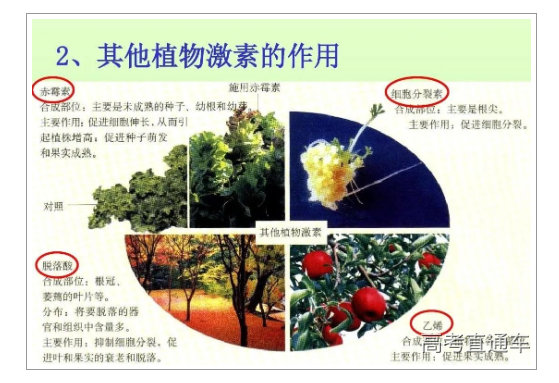 1677725019428045.png image.png