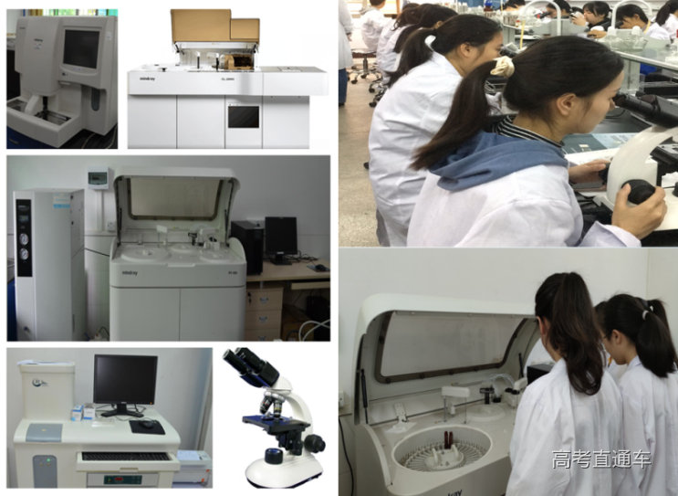 医学检验技术.png 图片