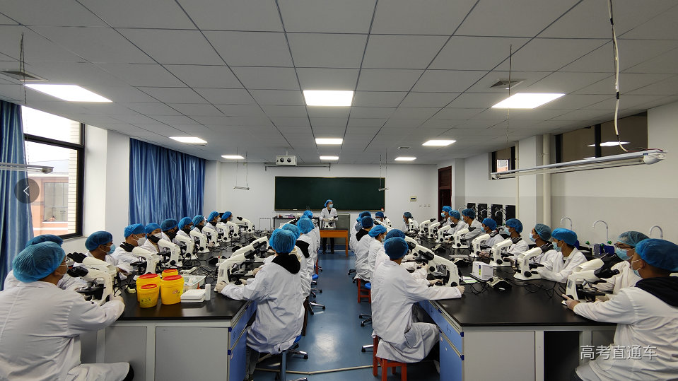 1679286202899906.png e090be70ae7bbb1ab5253b7c8a658fa9.png