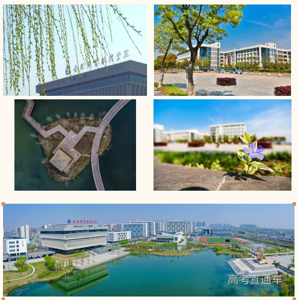 1679994177987560.png image.png