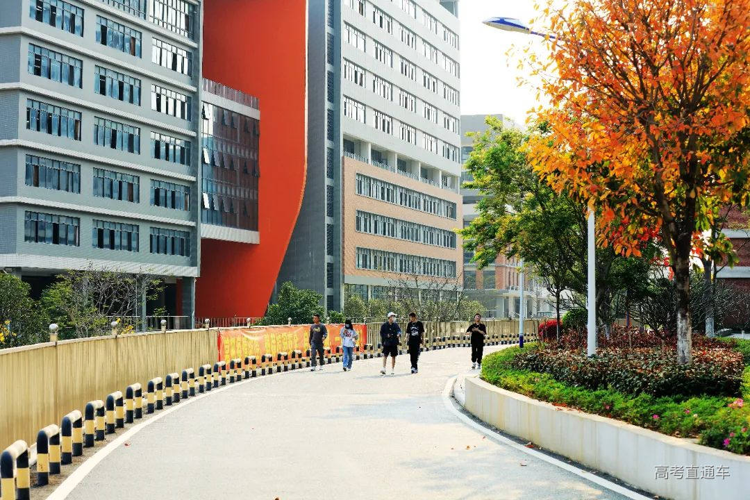 8Q2A4196_副本.jpg 图片