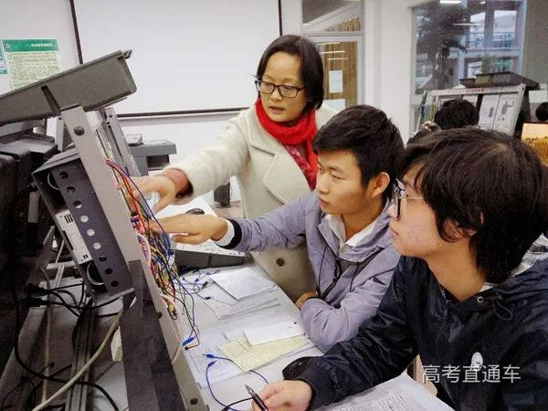 杨红老师照片.jpg 图片