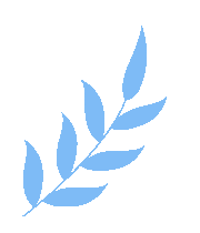 未标题-4.gif 图片