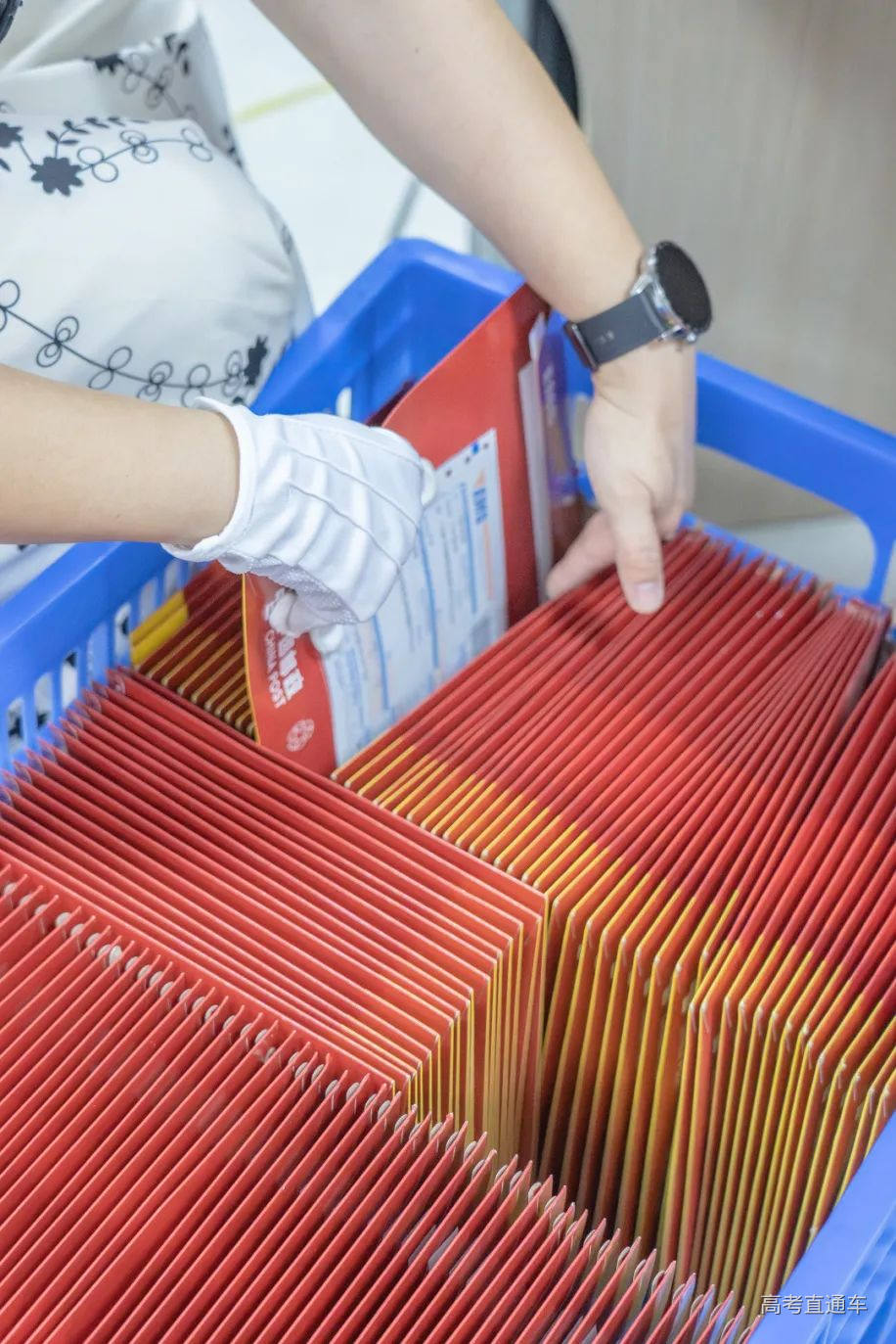 DSC09134-已增强-降噪.jpg 图片