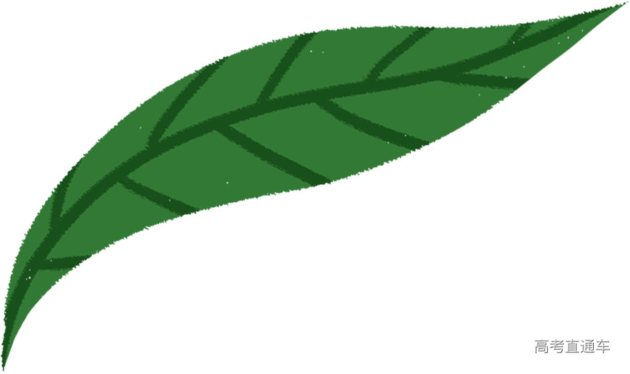 毕业季_0008_图层-3.png 图片