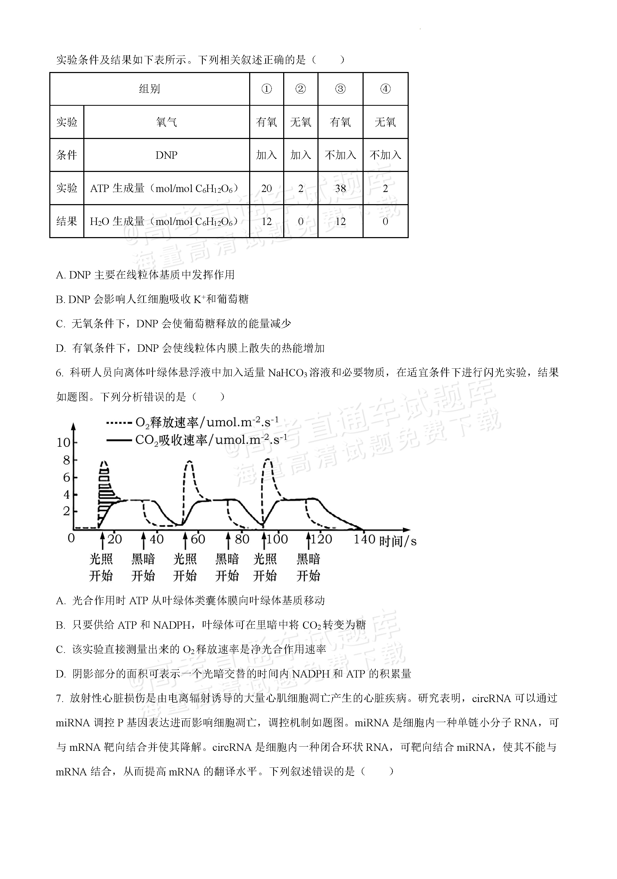 2024重庆一诊(康德卷)生物试题及参考答案